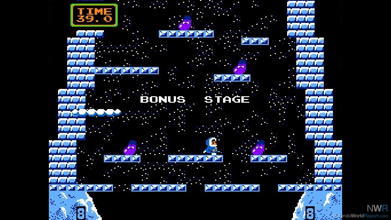 Arcade Archives: Ice Climber