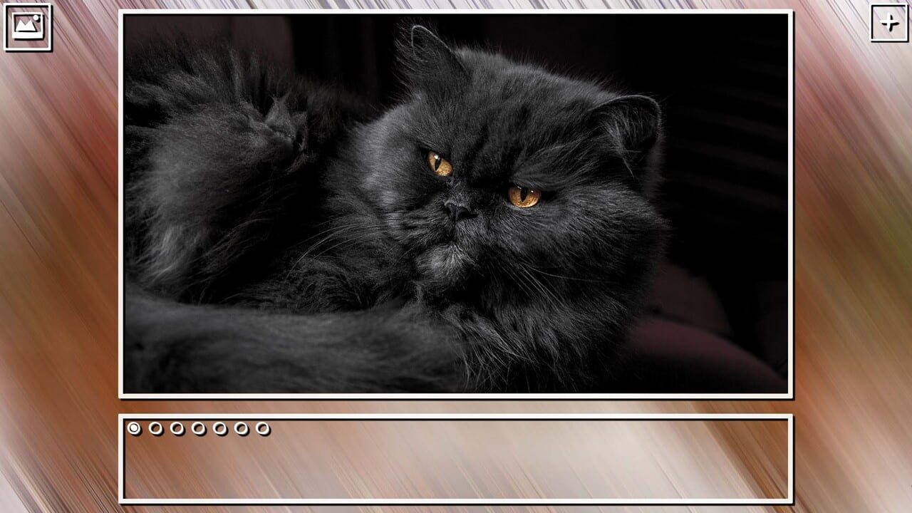 Super Jigsaw Puzzle: Generations – Cats Puzzles