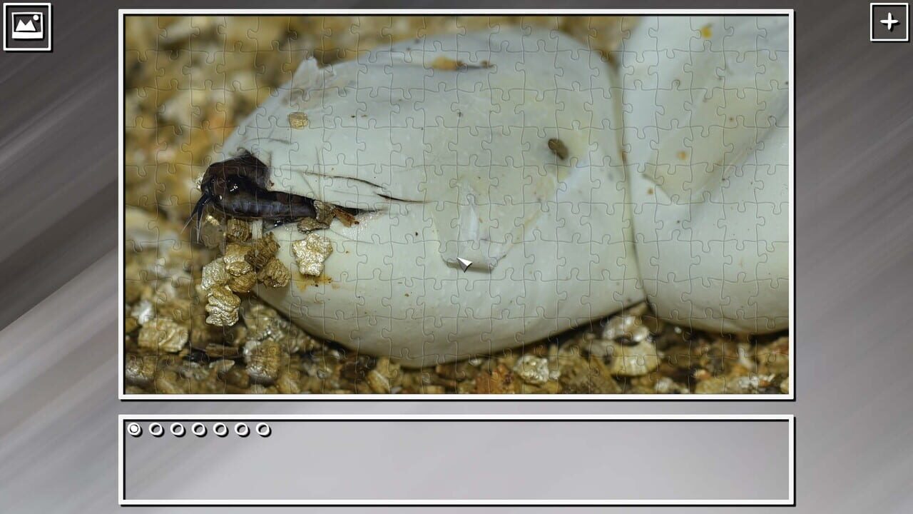 Super Jigsaw Puzzle: Generations – Snakes Puzzles