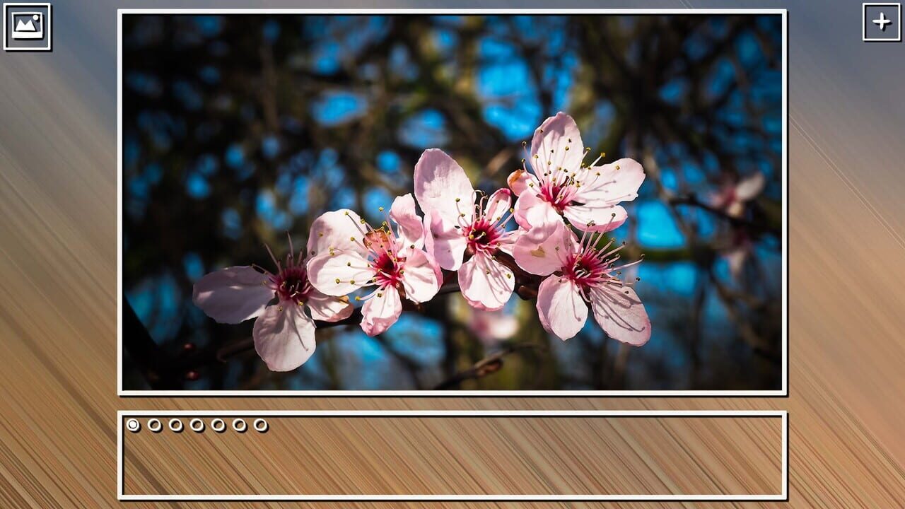 Super Jigsaw Puzzle: Generations – Spring Puzzles