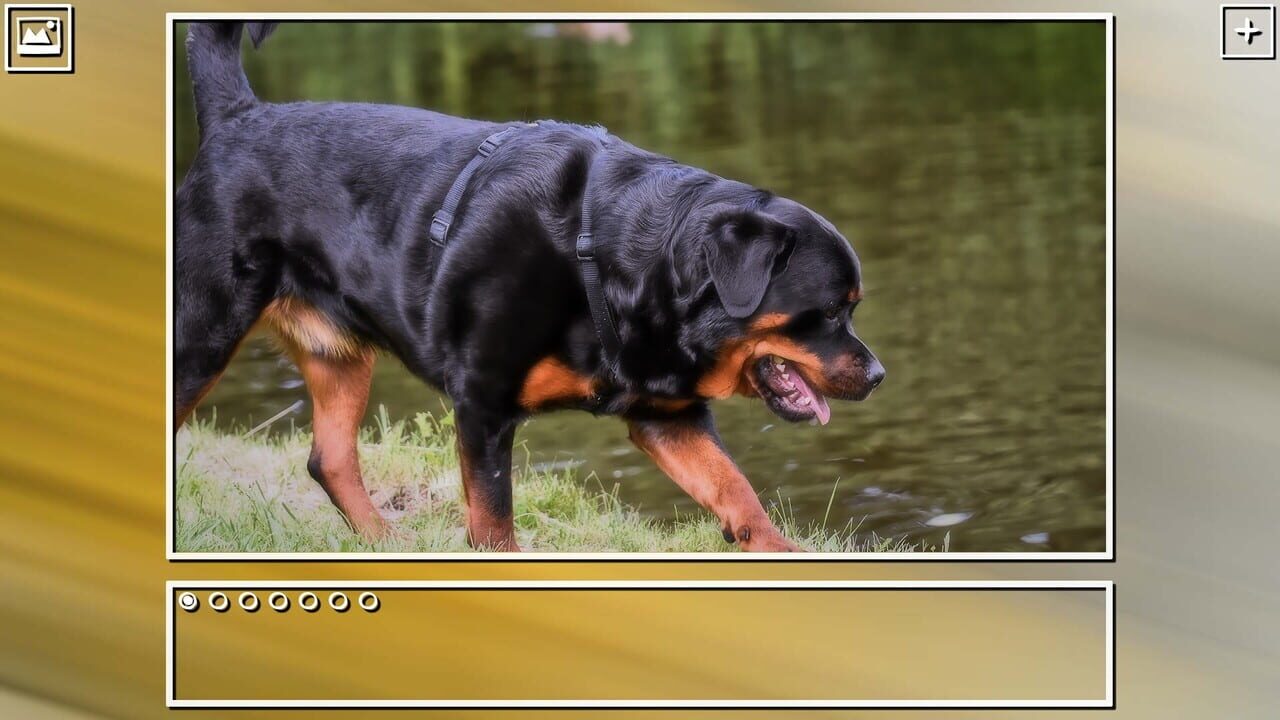 Super Jigsaw Puzzle: Generations – Dogs Puzzles