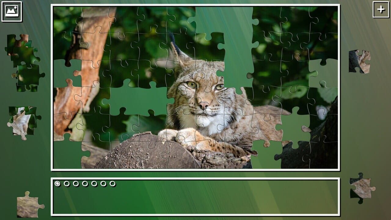 Super Jigsaw Puzzle: Generations – Big Cats Puzzles