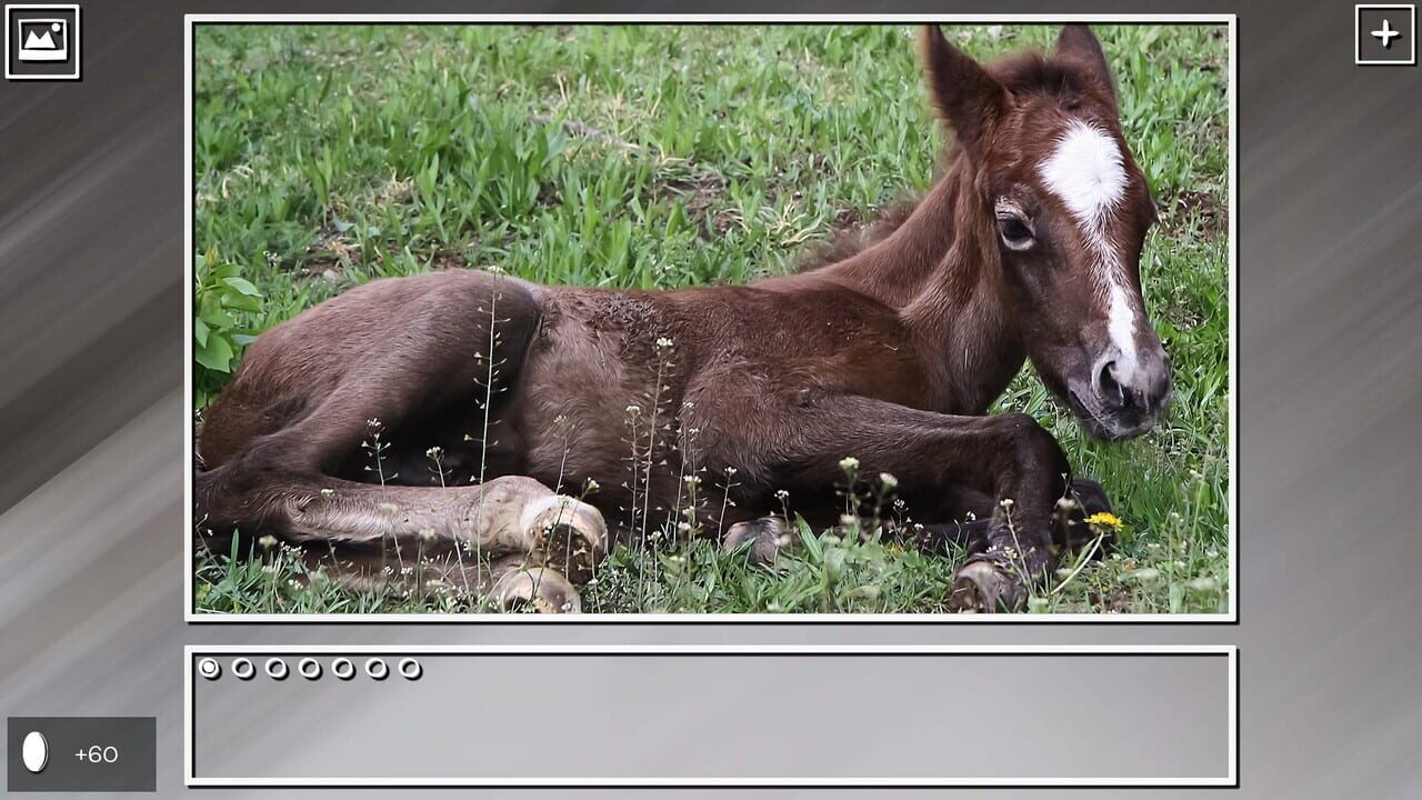 Super Jigsaw Puzzle: Generations – Horses Puzzles