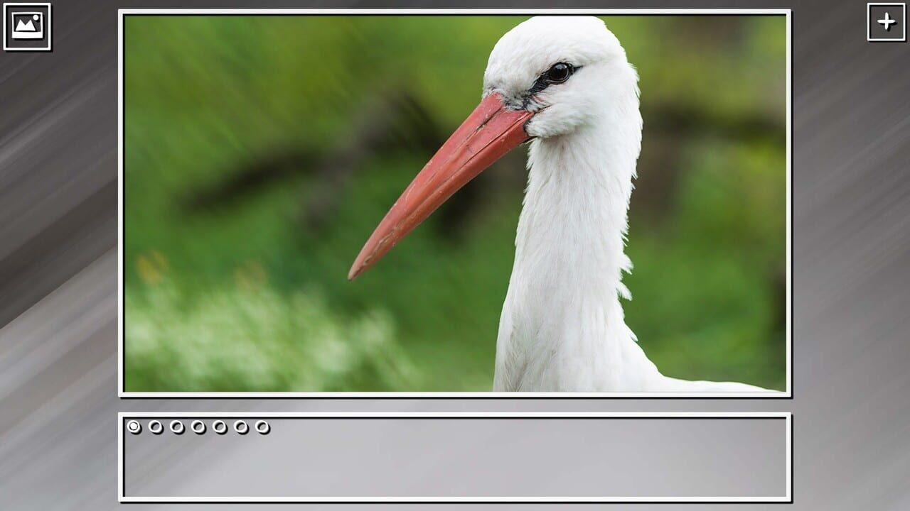 Super Jigsaw Puzzle: Generations – Birds Puzzles