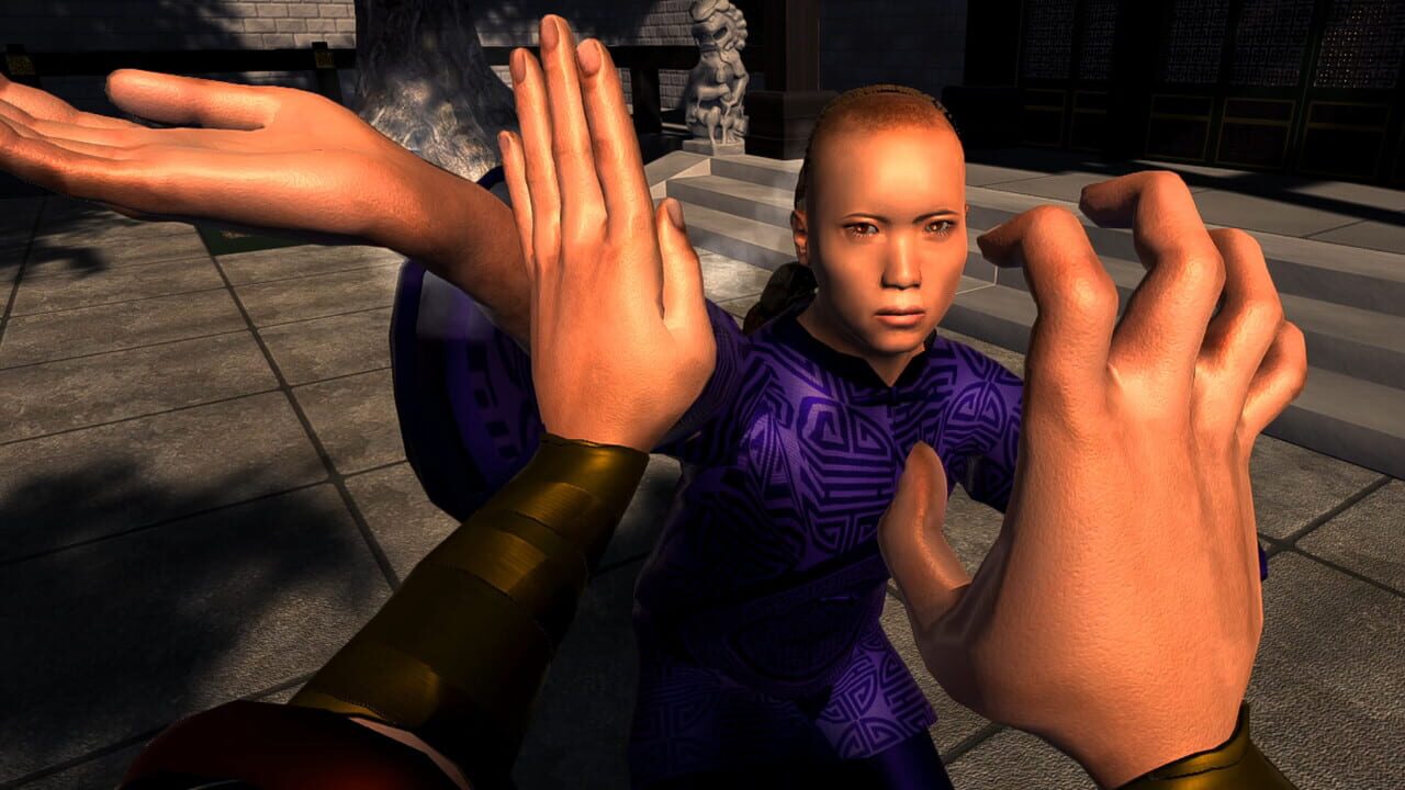 Dragon Fist: VR Kung Fu
