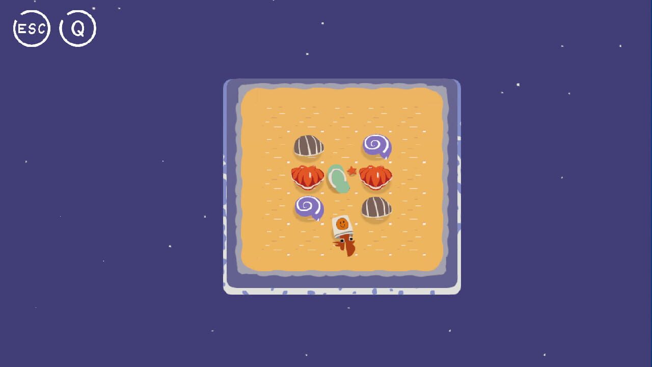 A Hermit Crab is Finding a House