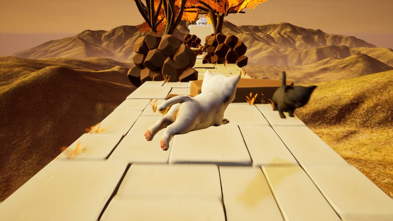 Cat Go! Ultimate Challenge