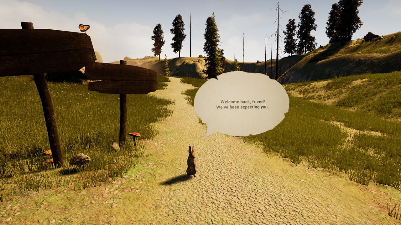 A Rabbit and the Mystic Fog