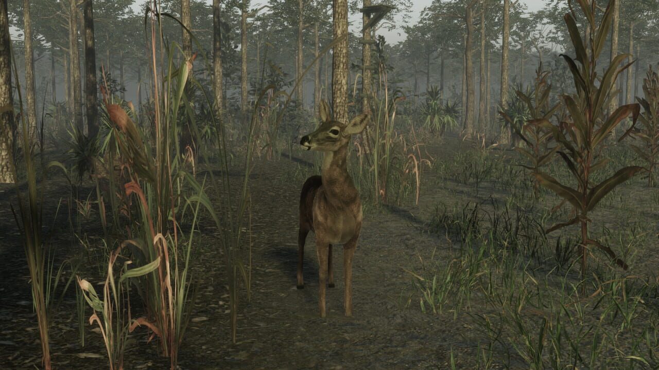 Pro Deer Hunting 2