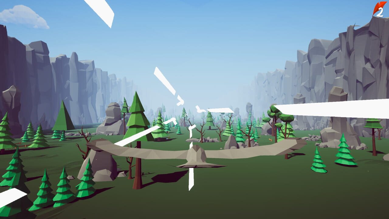 Bird Path