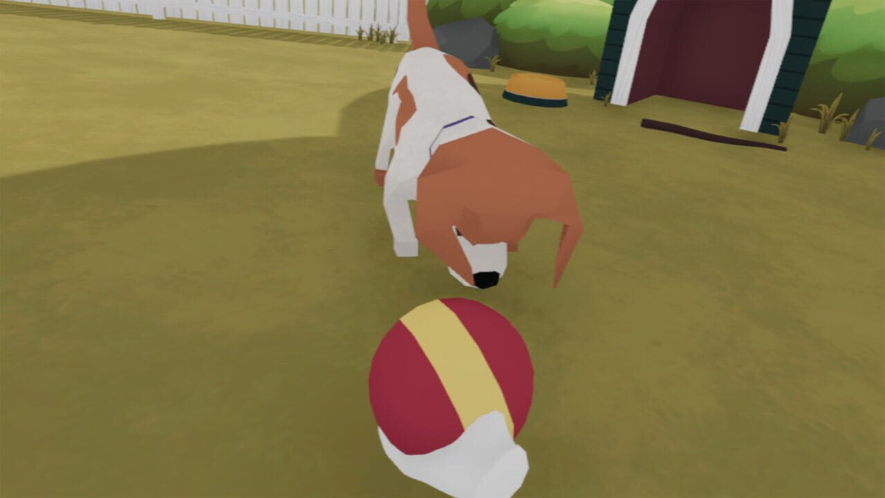 You Can Pet the Dog VR