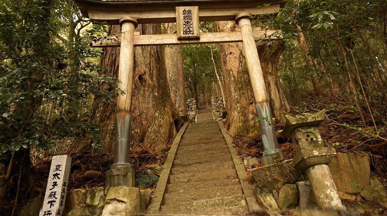 Ona: A Mystical Art Experience