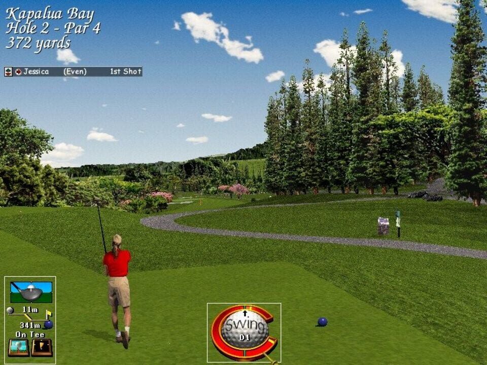 Links LS: 1998 Edition