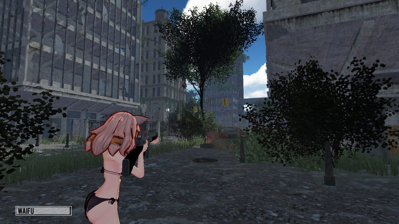 The Last of Anime