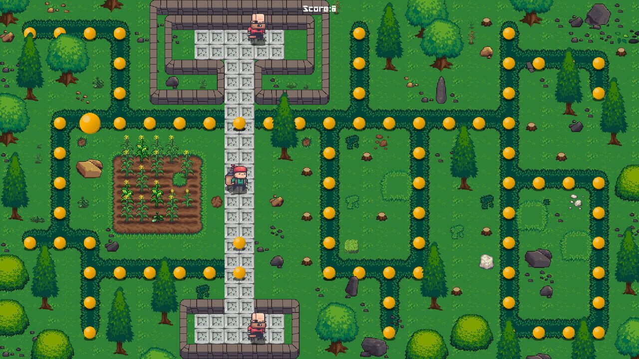 Jack’s Labyrinth