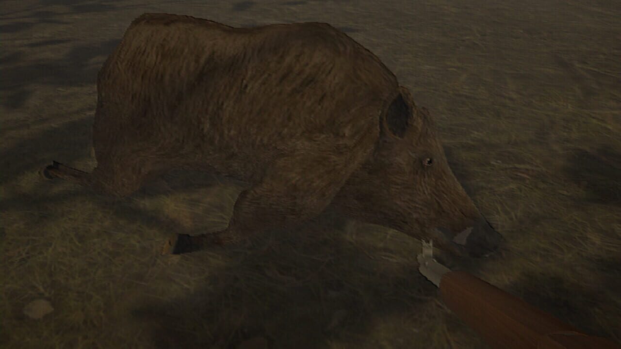Hog Hunter 2021