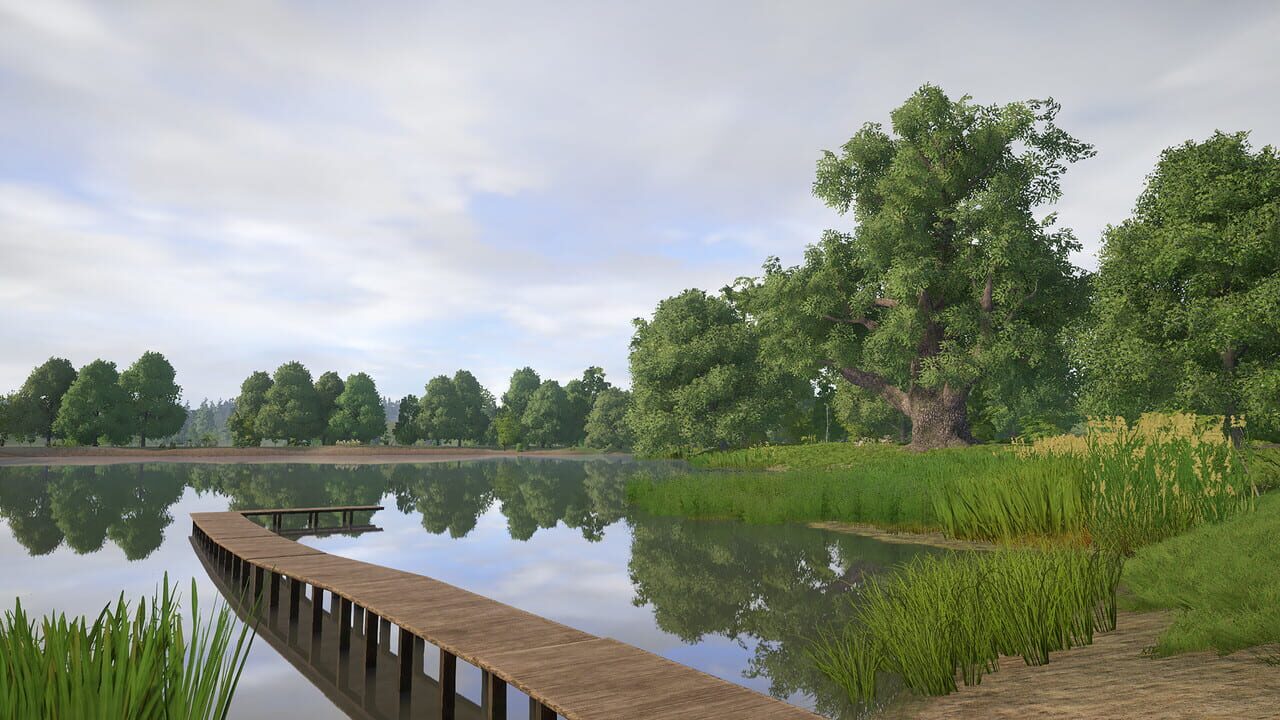 Russian Fishing 4: Amber Lake
