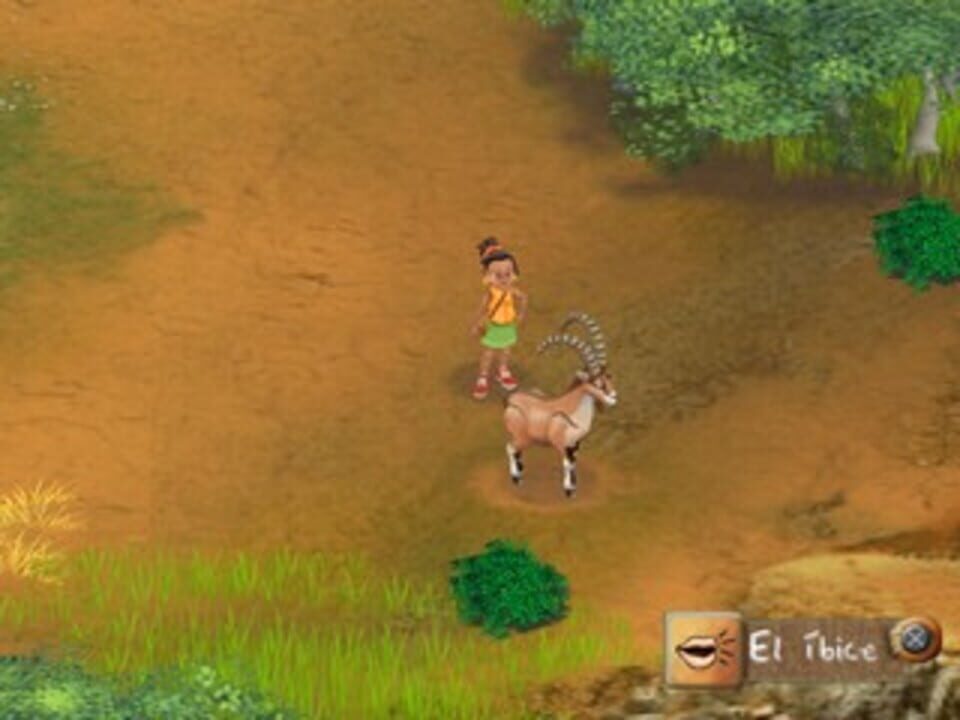 Safari Adventures: Africa