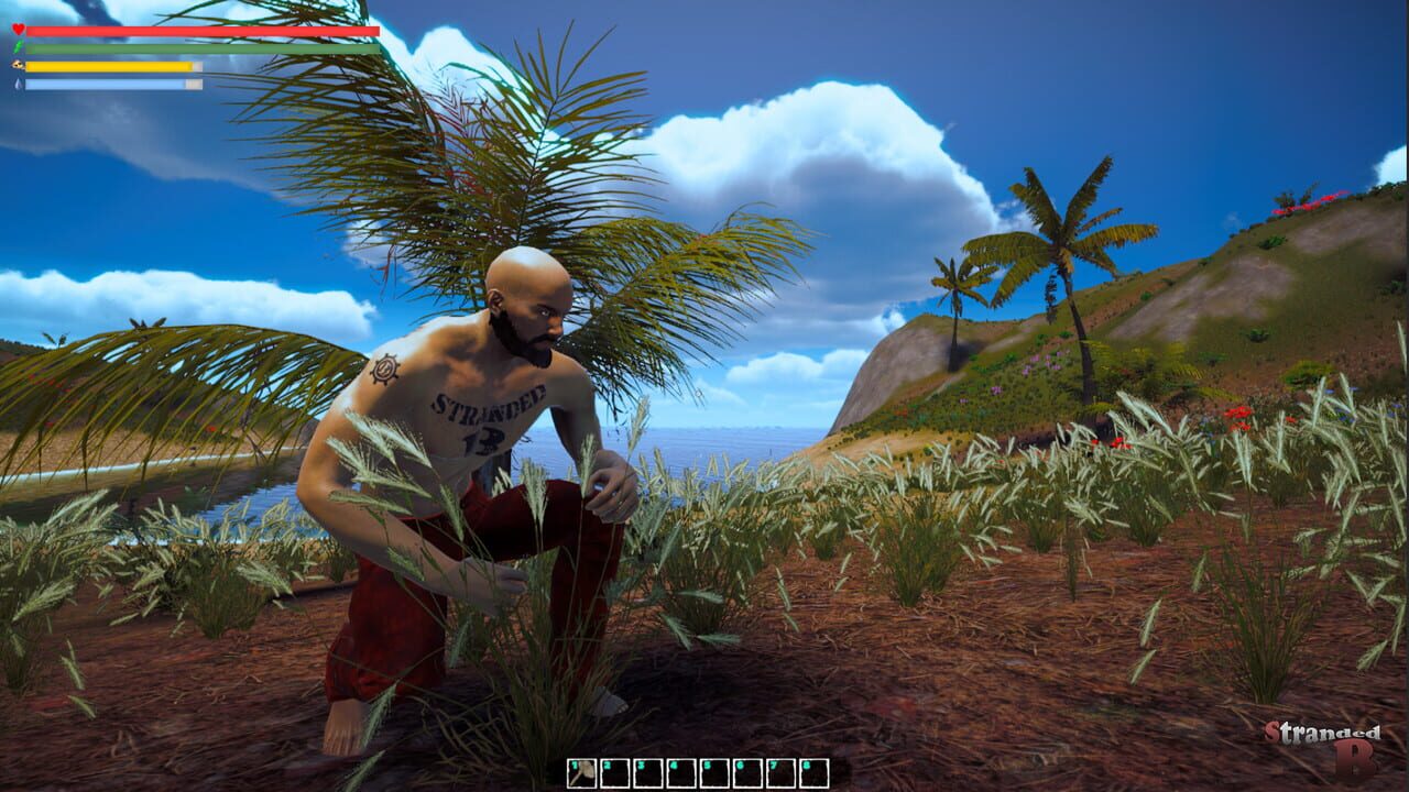 Stranded B
