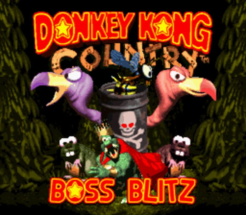 Donkey Kong Country: Boss Blitz