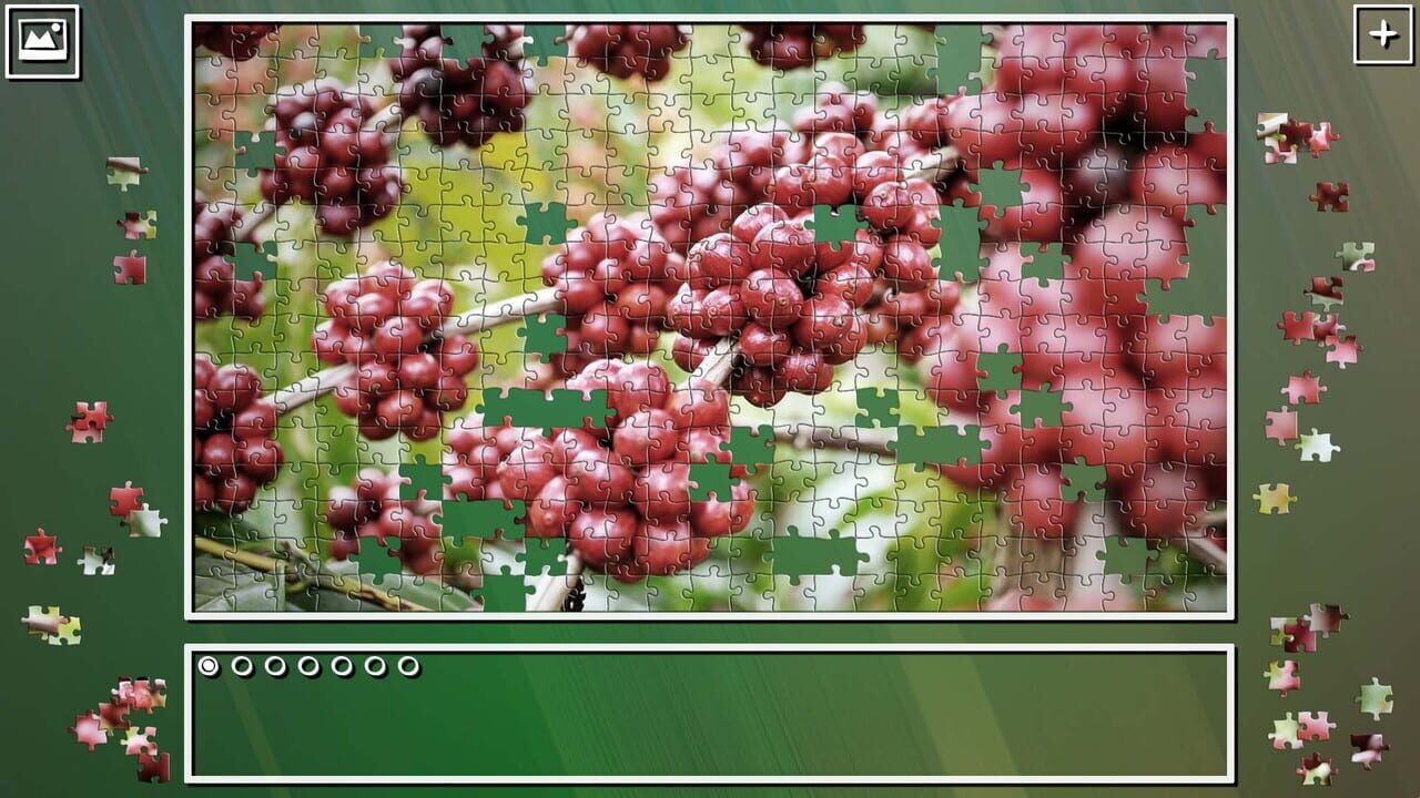 Super Jigsaw Puzzle: Generations – Fruits Puzzles