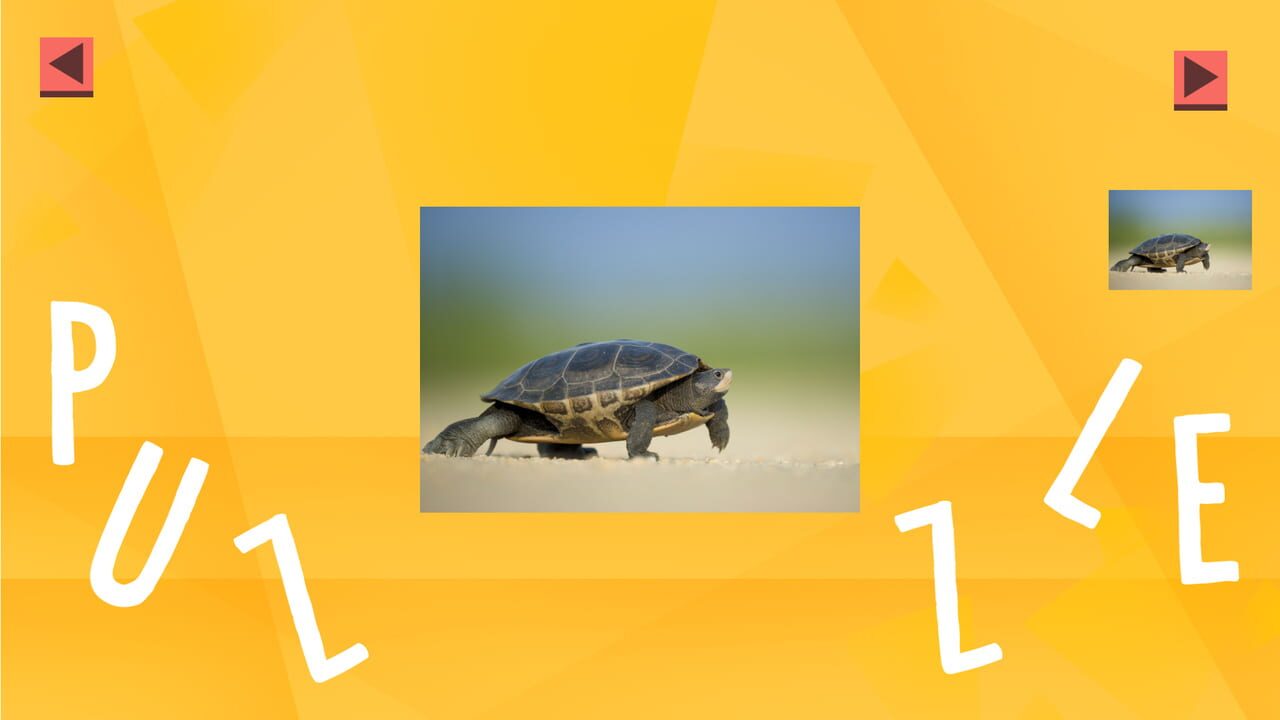 Game of Puzzles: Animals