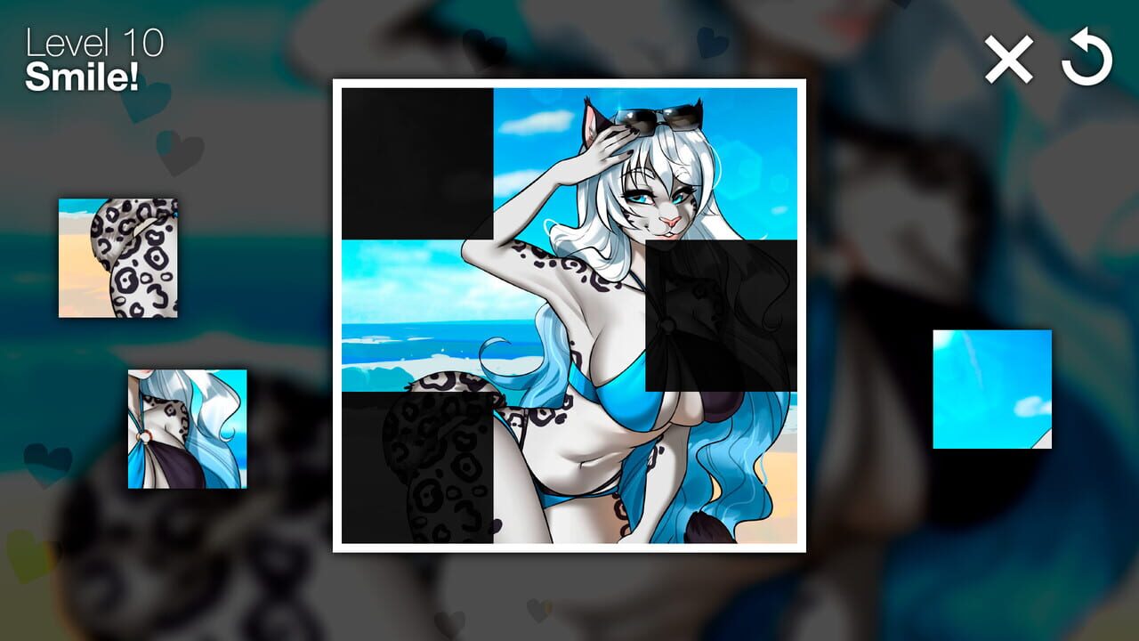 Furry Puzzle