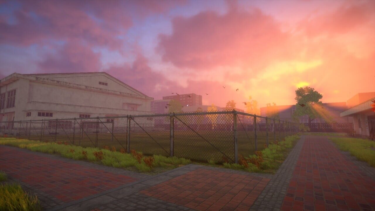 The Dream is Coming…