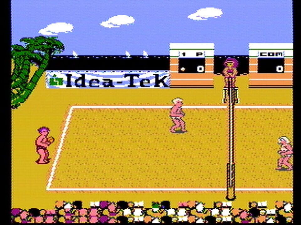 Venice Beach Volleyball