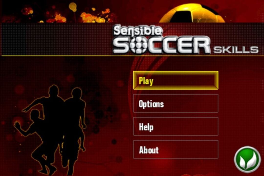 Sensible Soccer Skills