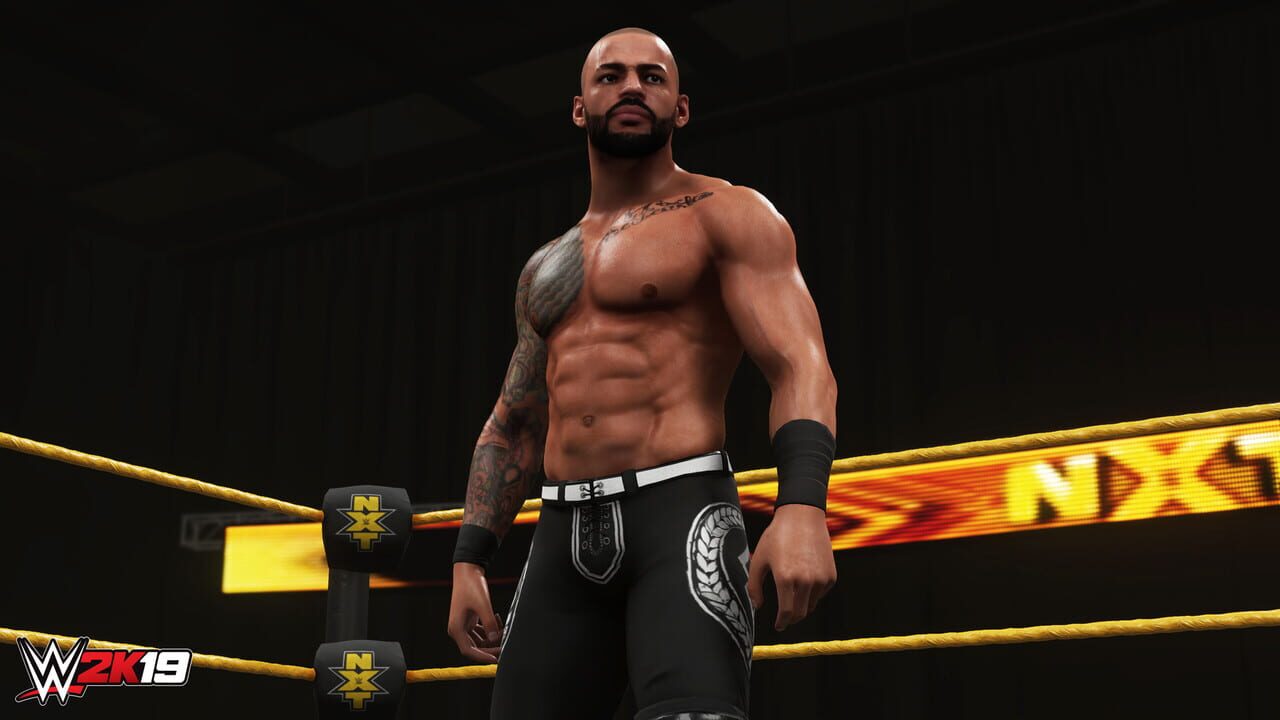 WWE 2K19: Rising Stars