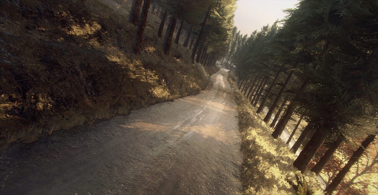 Dirt Rally 2.0: Colin McRae – Flat Out Pack