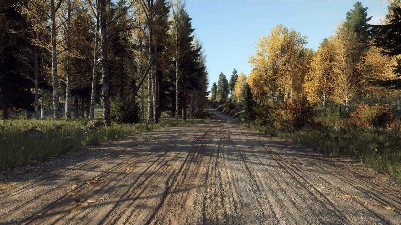 DiRT Rally 2.0: Finland (Rally Location)