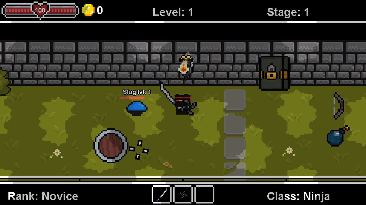 Dungeon Arena: Class Ninja