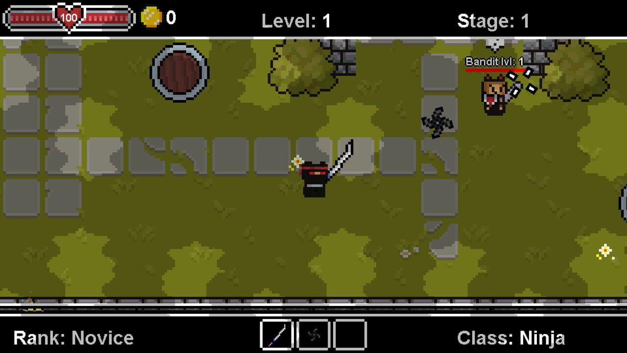 Dungeon Arena: Class Ninja