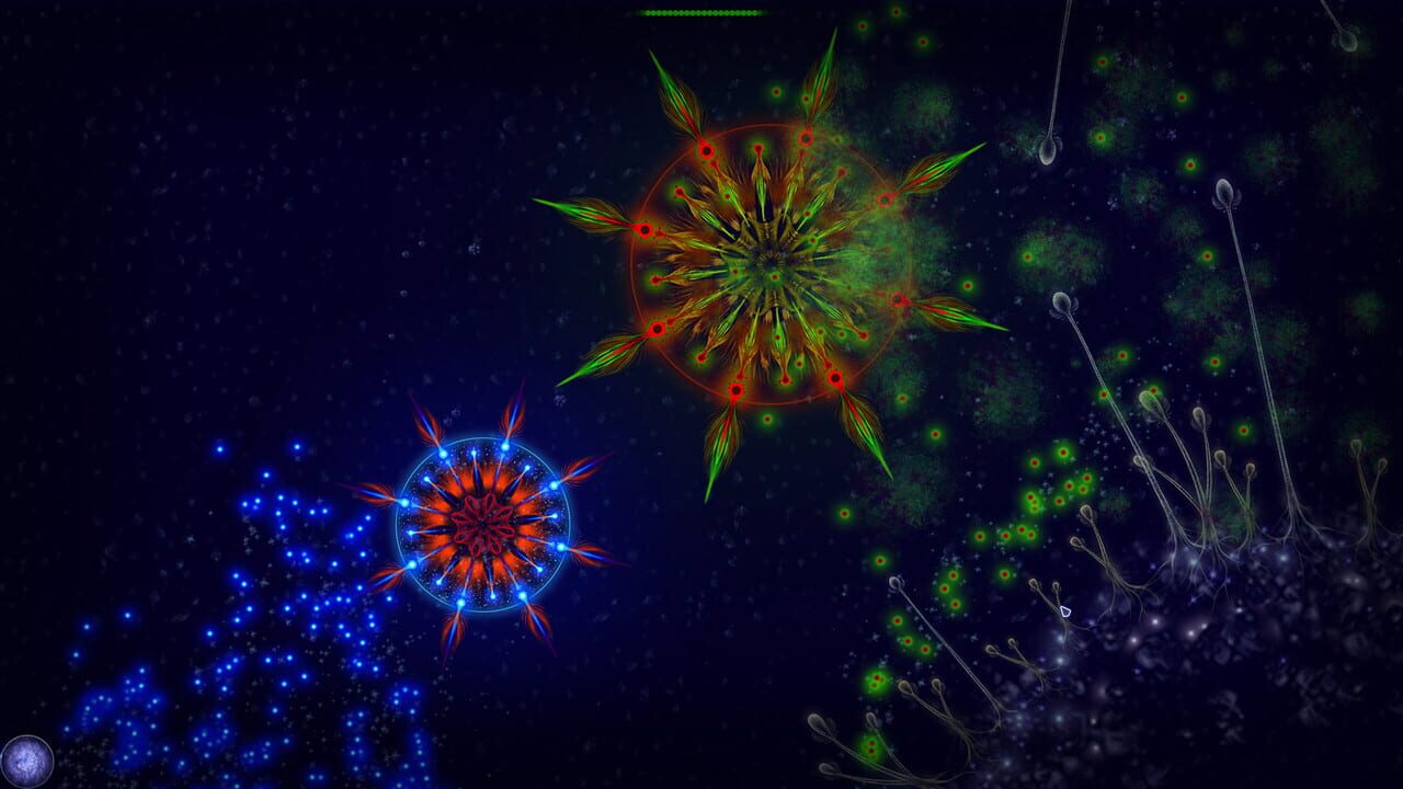 Microcosmum: Survival of Cells – Campaign “New life”