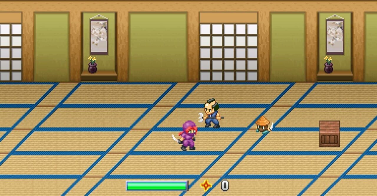Ninja Kunoichi
