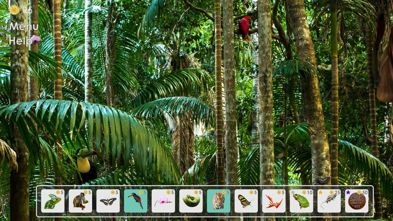 Look and Find: Curiosity