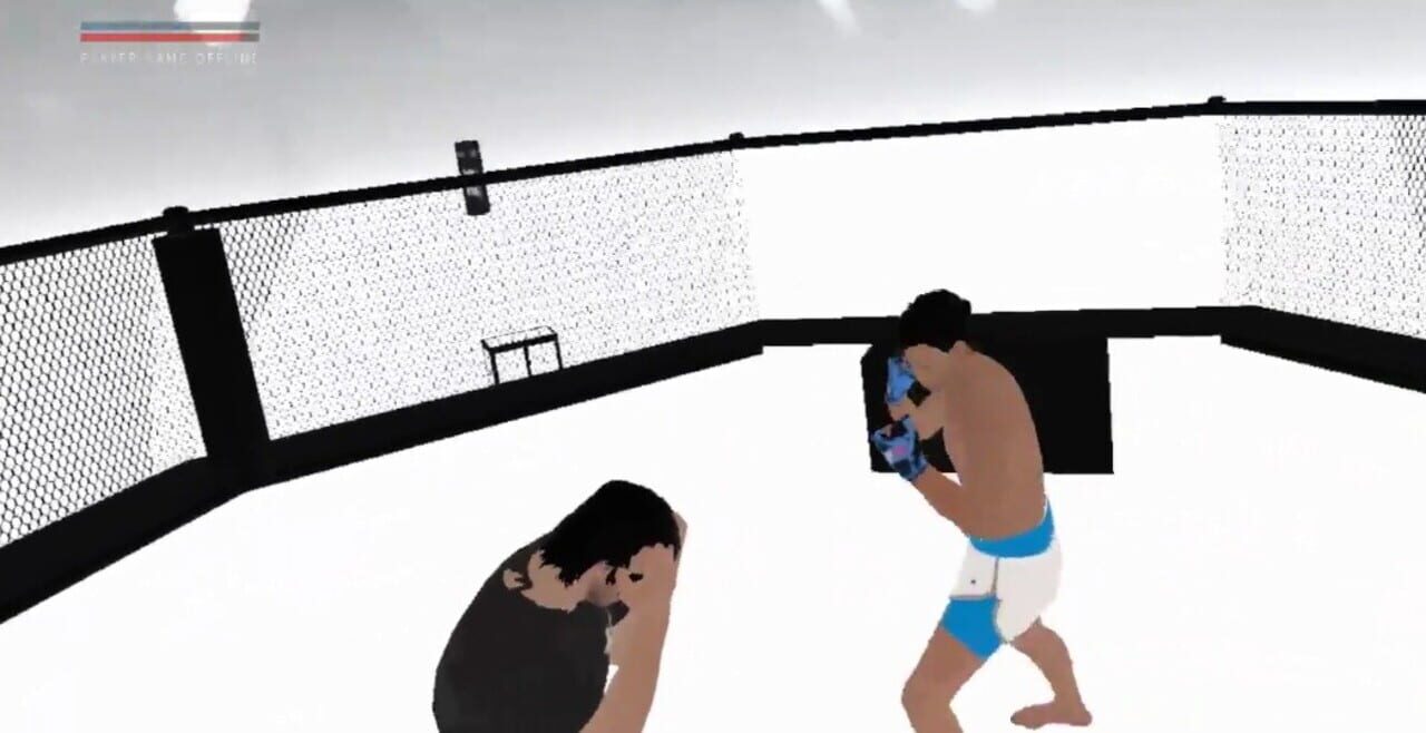 VR Boxing Master