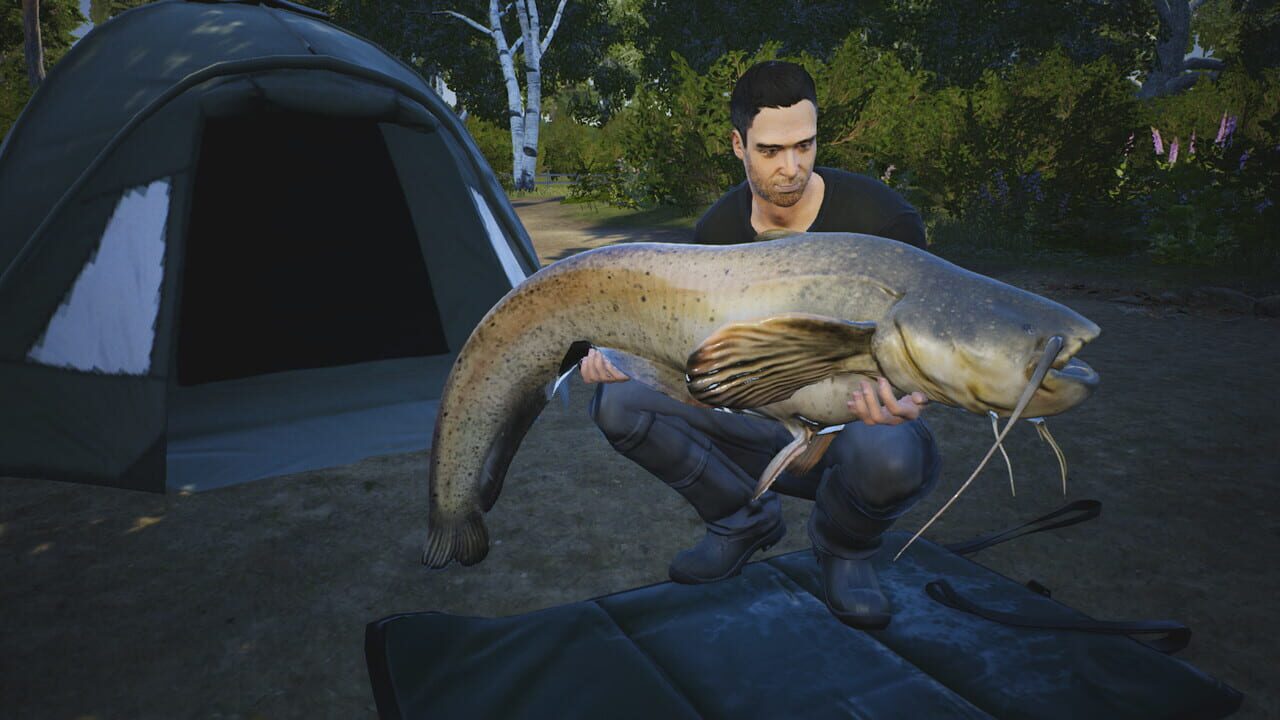 Euro Fishing: Le Lac d’or
