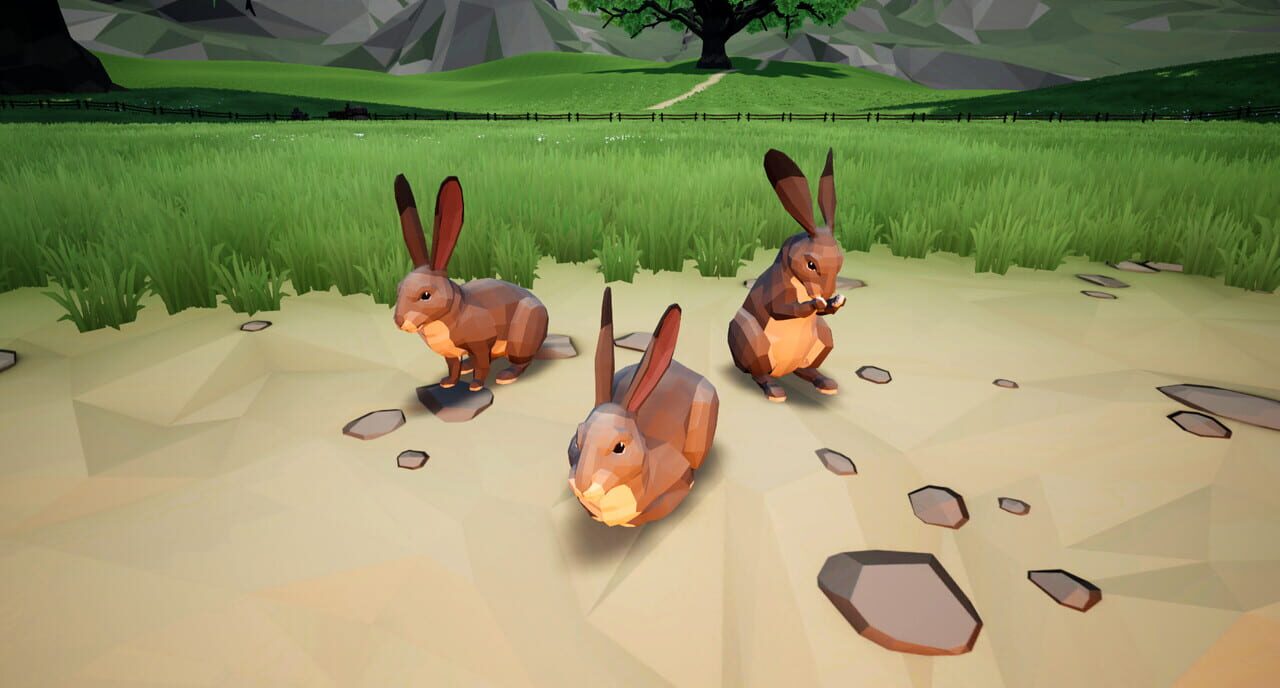 Agrou: Rabbit pet