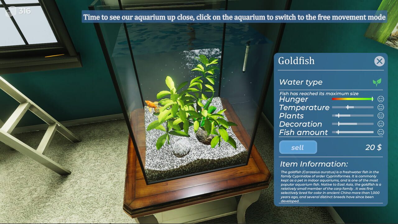 Aquarist: My First Job