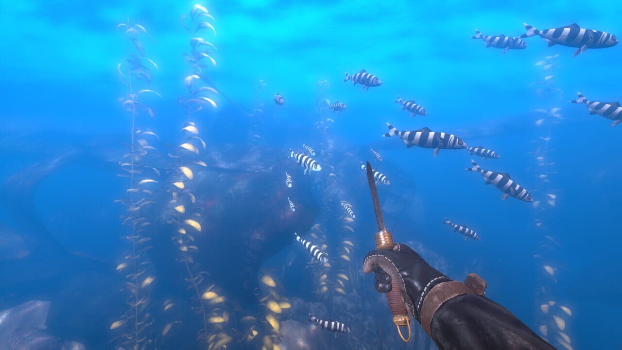 Depth: Wilhelm Diver