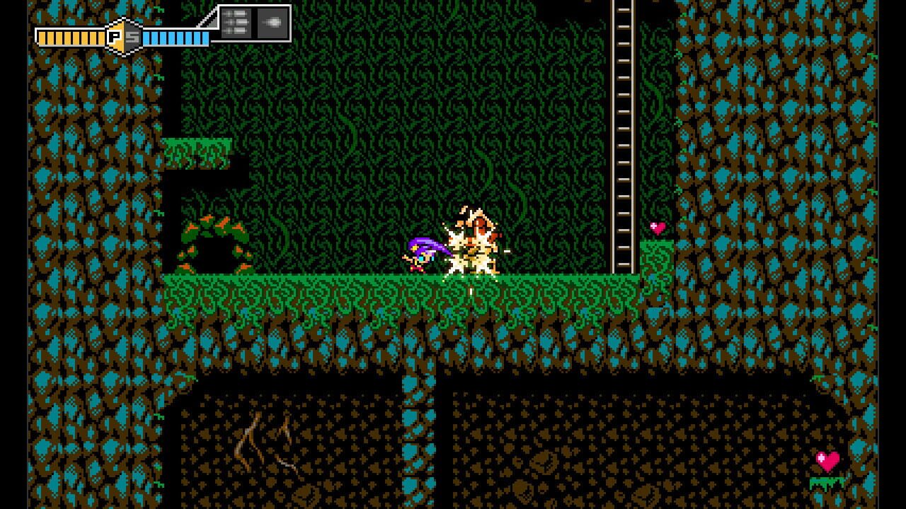 Blaster Master Zero: EX Character – Shantae