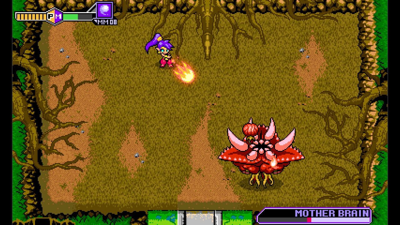 Blaster Master Zero: EX Character – Shantae