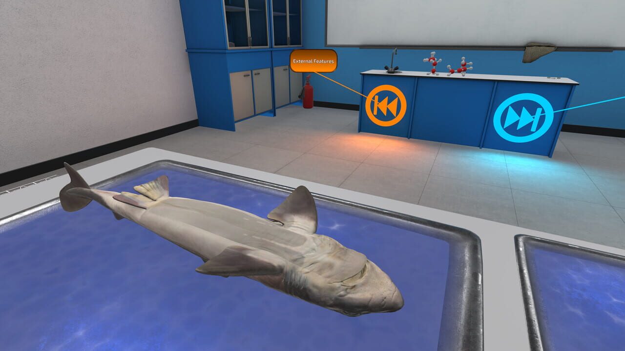Dissection Simulator: Dogfish Edition