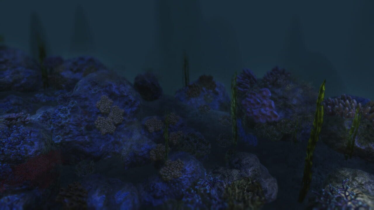 20,000 Miles Under the Sea