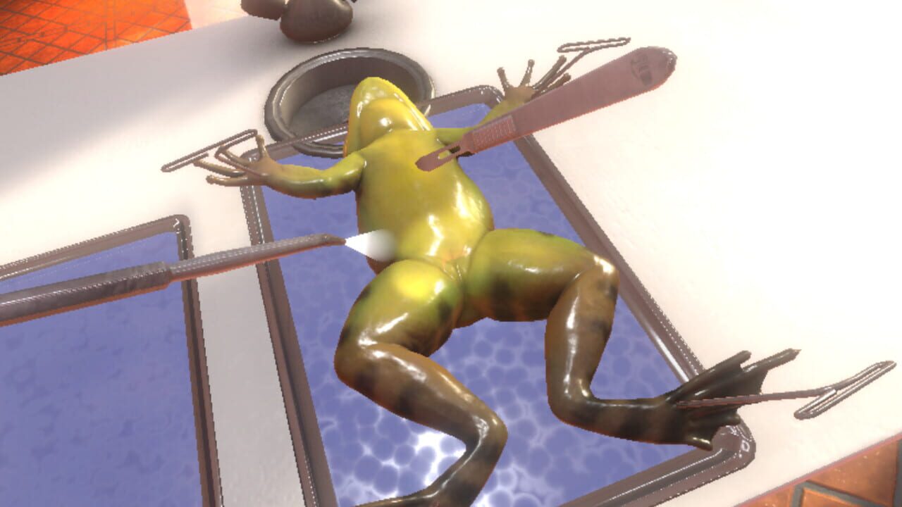 Dissection Simulator: Frog Edition