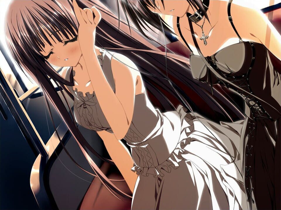 Wonderful Everyday: Down the Rabbit-Hole