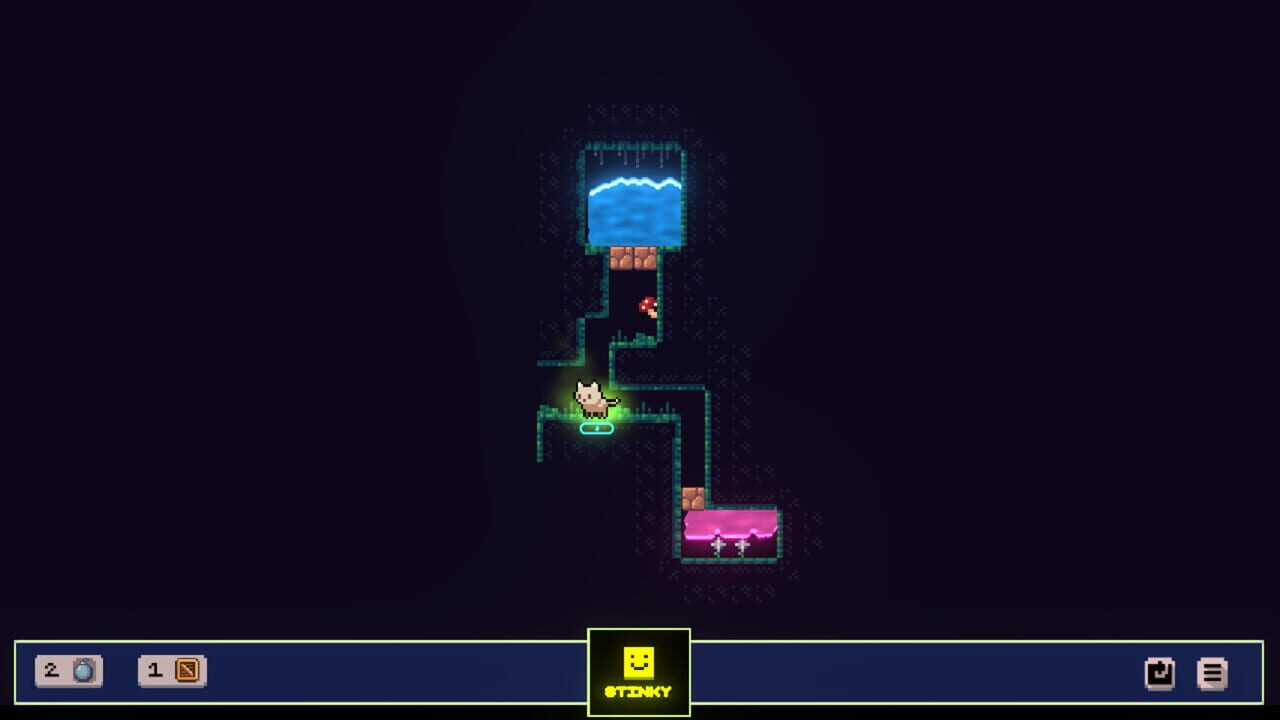 How to Bathe Your Cat